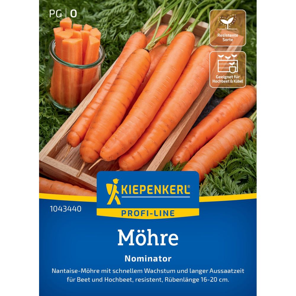 seminte morcov nominator