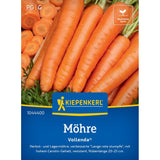 seminte morcov vollenda