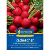 seminte ridichi ester