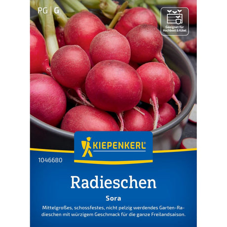 seminte ridichi sora