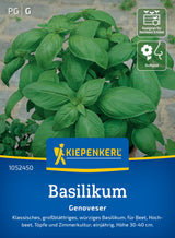 seminte busuioc genovez