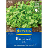seminte coriandru jantar