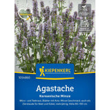 seminte agastache menta coreeana