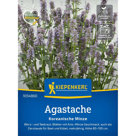 seminte agastache menta coreeana