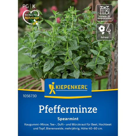 seminte menta spearmint