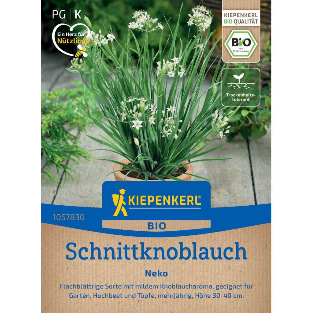 Seminte de usturoi chinezesc BIO – Neko, planta aromatica versatila, ajunge pentru 80 Plante, cu protectie germinatie