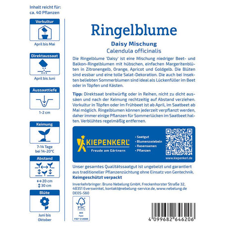 Seminte de galbenele Daisy – amestec decorativ, ajunge pentru 40 Plante