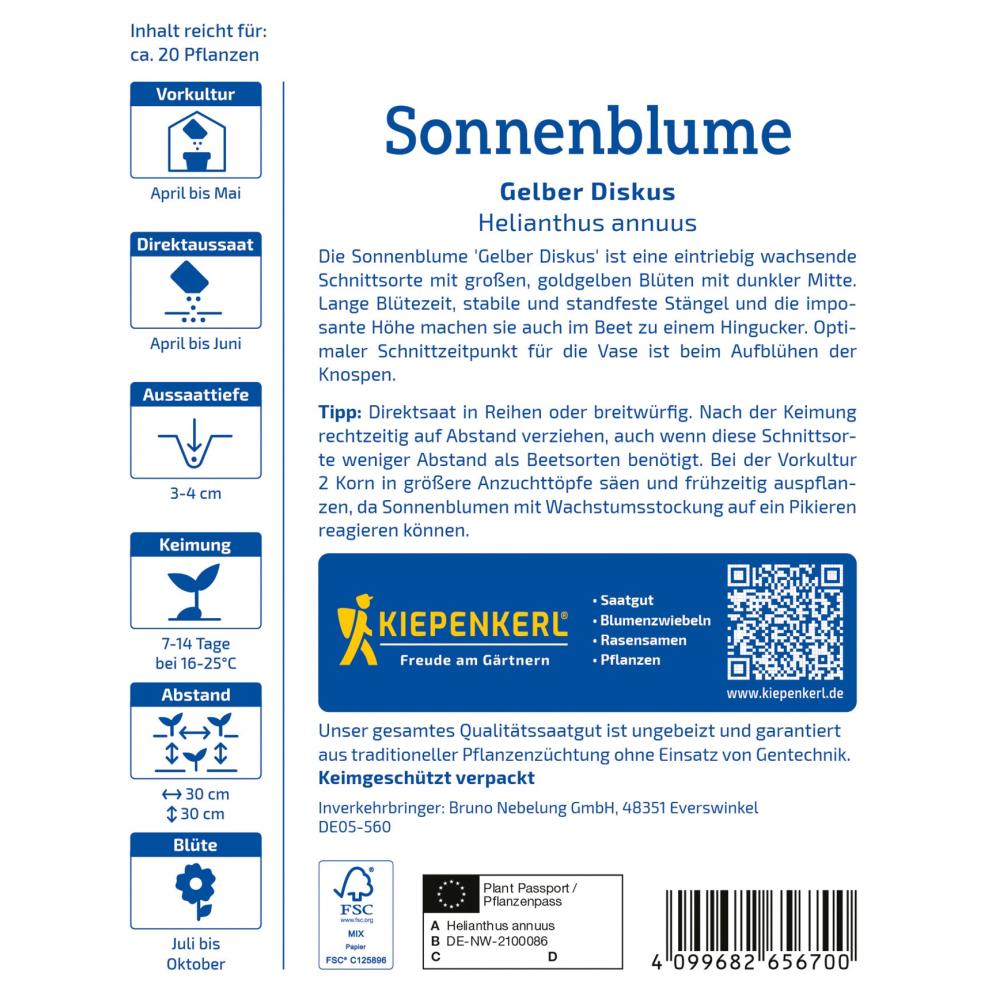seminte floarea soarelui galben diskus