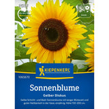 seminte floarea soarelui galben diskus