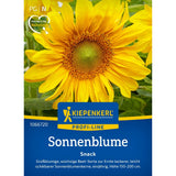 seminte floarea soarelui snack