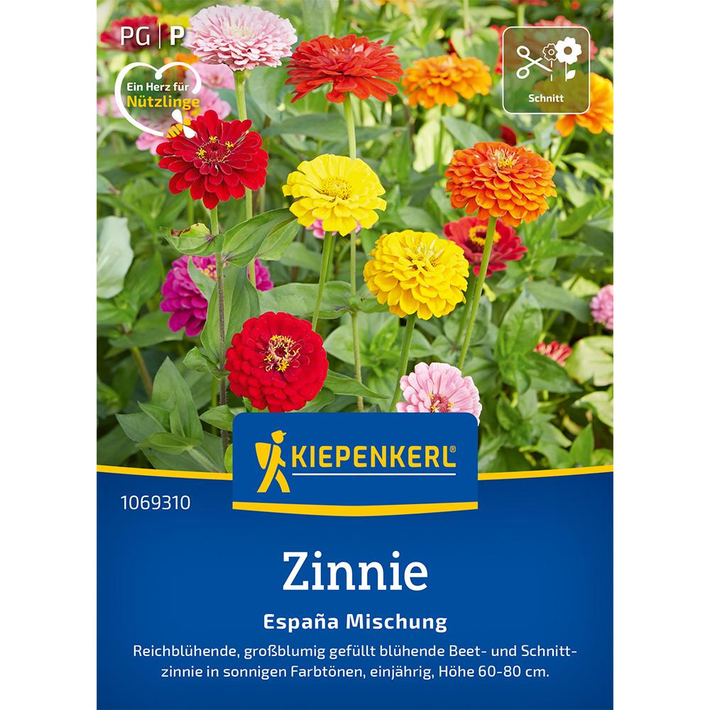 Seminte de zinnia Espana – amestec viu colorat, ajunge pentru 70 Plante