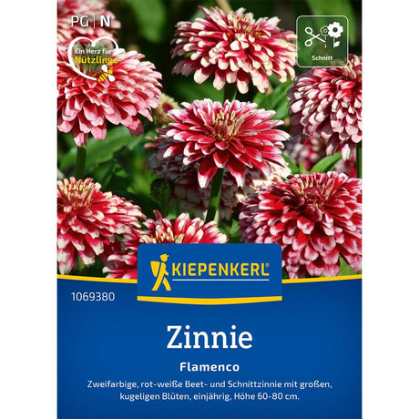 Seminte de zinnia Flamenco – flori mari decorative, ajunge pentru 50 Plante