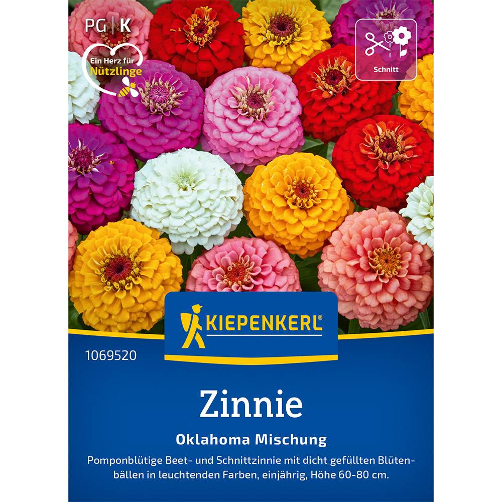 Seminte de zinnia Oklahoma – amestec rustic, ajunge pentru 50 Plante