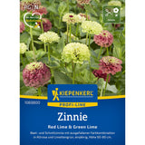 Seminte de zinnia Red Lime & Green Lime – contrast cromatic spectaculos, ajunge pentru 20 Plante