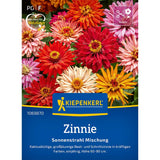 Seminte de zinnia Sonnenstrahl – amestec luminos, ajunge pentru 50 Plante
