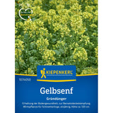 Seminte de mustar galben – soi Weisssamiger, ingrasamant verde, ajunge pentru 20 m², cu protectie germinatie