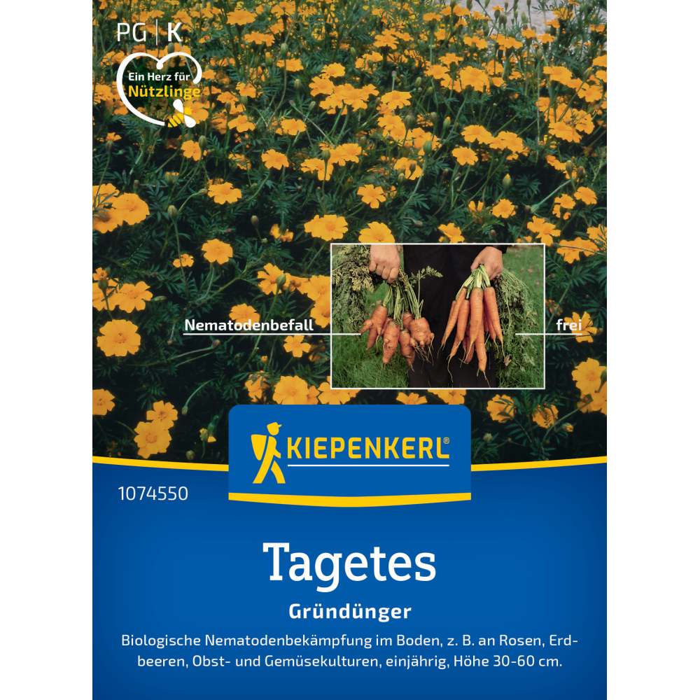 Seminte de tagetes Single Gold – protectie naturala anti-nematode, ajunge pentru 5 - 7 m²