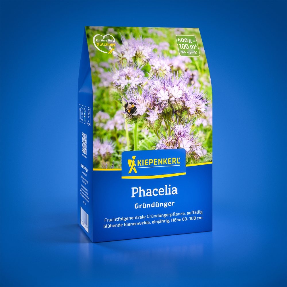 Seminte de facelia – 0,4 kg, melifer si acoperire verde, ajunge pentru 100 m²