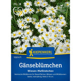 Seminte de margarete de camp, ajunge pentru 3 - 5 m²