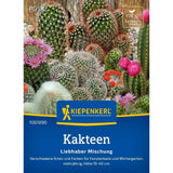 Seminte de cactus – mix pentru colectionari si pasionati, ajunge pentru 20 Plante