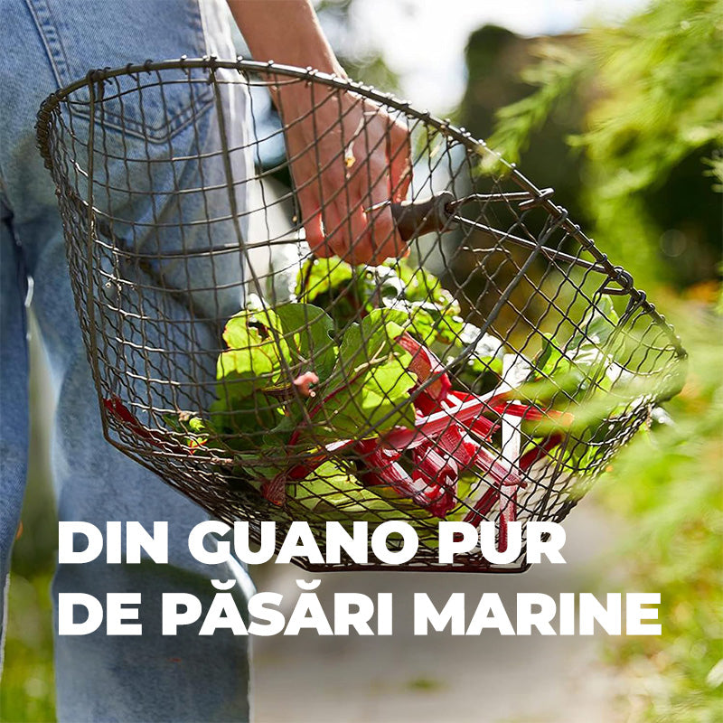 Ingrasamant Organic Natural cu Guano, 1 kg, COMPO