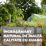 Ingrasamant Organic Natural cu Guano, 1 kg, COMPO