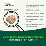 Ingrasamant conifere si gard viu Cuxin DCM, formula speciala cu magneziu, efect de lunga durata, tehnologie MINIGRAN, 1.5 kg