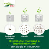 Ingrasamant conifere si gard viu Cuxin DCM, formula speciala cu magneziu, efect de lunga durata, tehnologie MINIGRAN, 1.5 kg