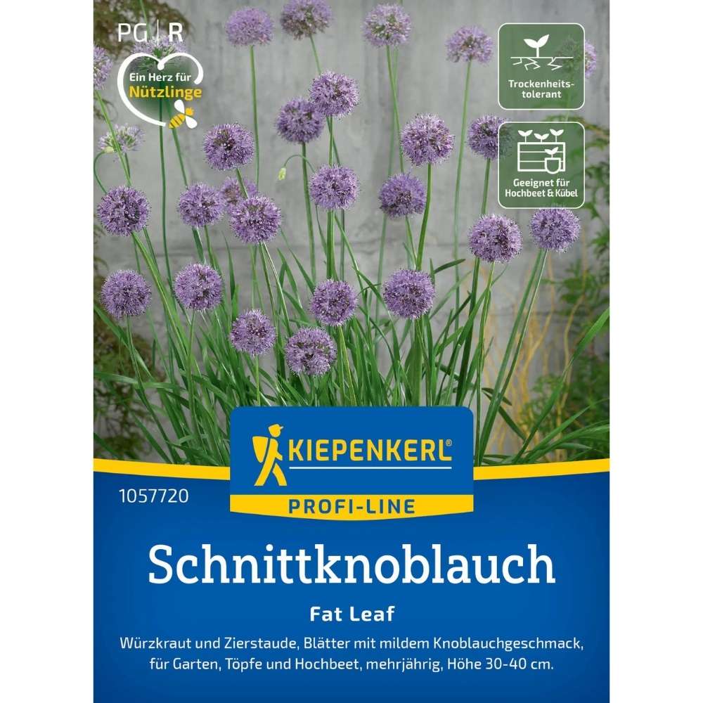 Seminte de usturoi chinezesc F1 – Fat Leaf, frunze late aromate, ajunge pentru 25 Plante, cu protectie germinatie