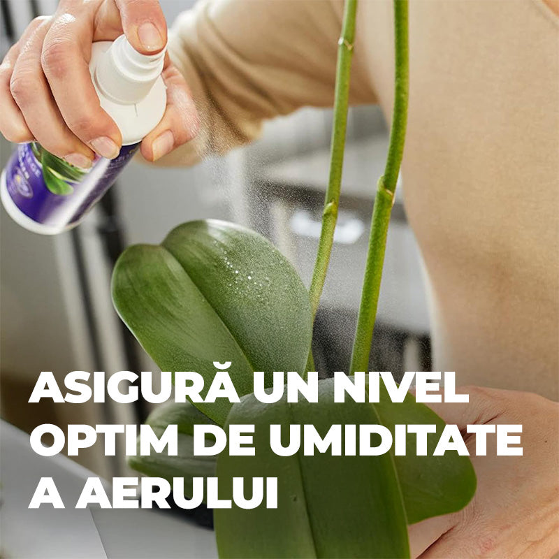 Spray Nutritiv pentru Frunze de Orhidee, 250 ml, Gata de Utilizare, COMPO