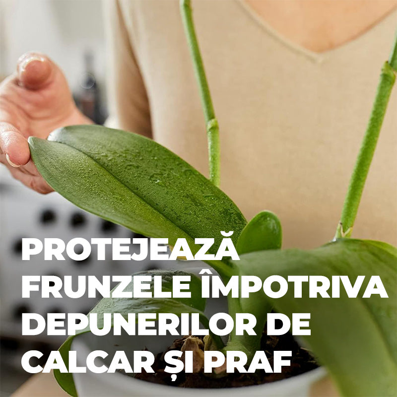 Spray Nutritiv pentru Frunze de Orhidee, 250 ml, Gata de Utilizare, COMPO