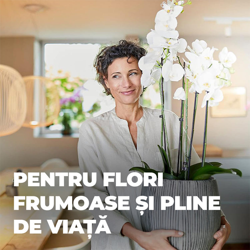 Spray Nutritiv pentru Frunze de Orhidee, 250 ml, Gata de Utilizare, COMPO