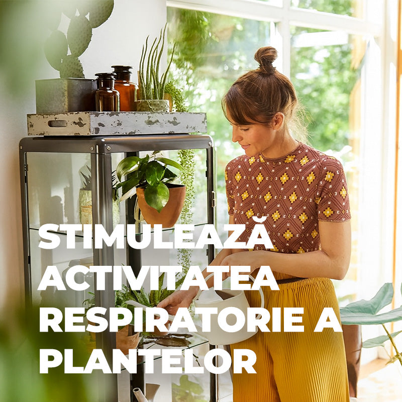 Spray Luciu Frunze pentru Plante Verzi, 300 ml, Efect Imediat, COMPO