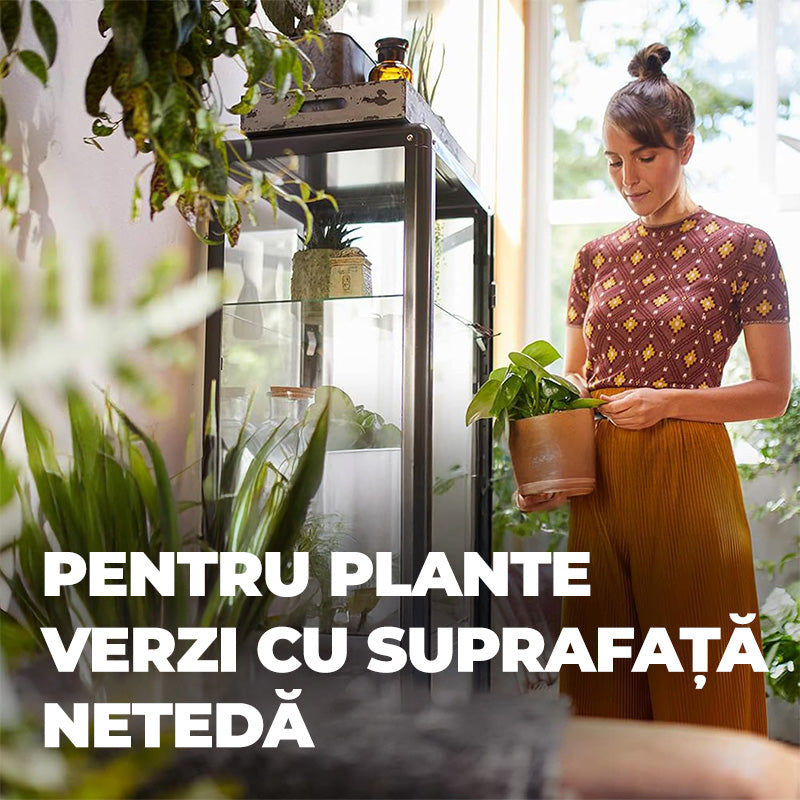 Spray Luciu Frunze pentru Plante Verzi, 300 ml, Efect Imediat, COMPO