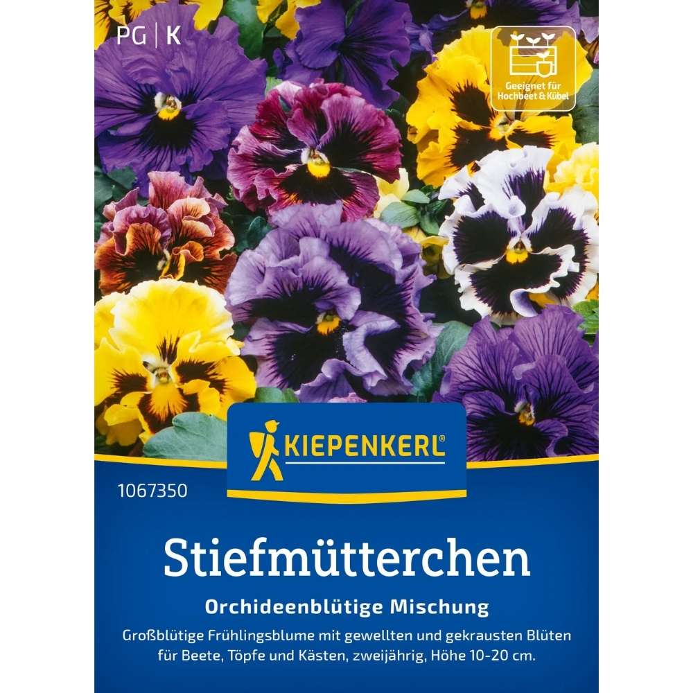 Seminte de panselute cu flori tip orhidee – mix colorat, ajunge pentru 60 Plante
