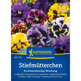 Seminte de panselute cu flori tip orhidee – mix colorat, ajunge pentru 60 Plante