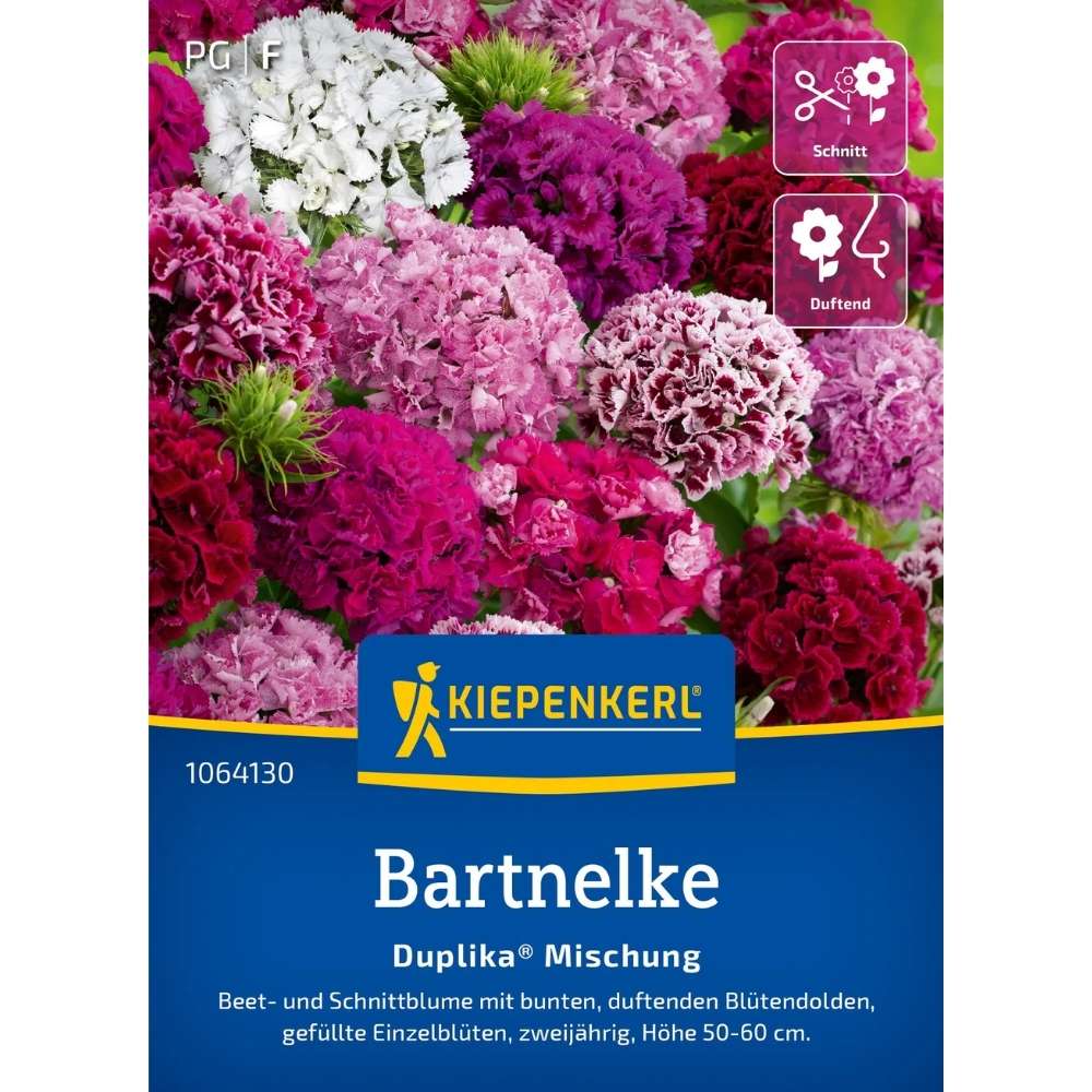 Seminte de barba-imparatului – amestec Duplika, flori bienale, ajunge pentru 60 Plante