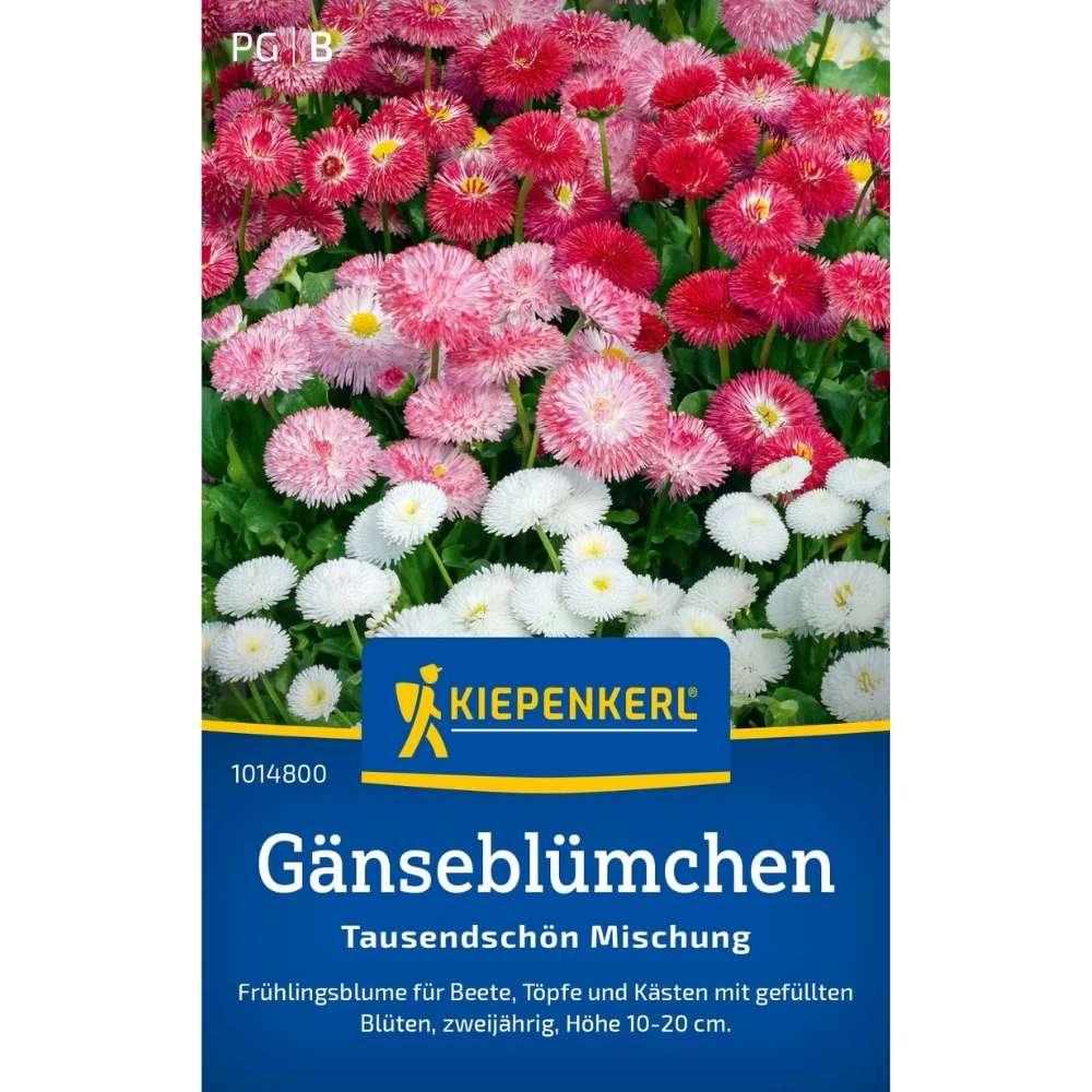 Seminte de margarete Tausendschon – mix de flori colorate, ajunge pentru 100 Plante