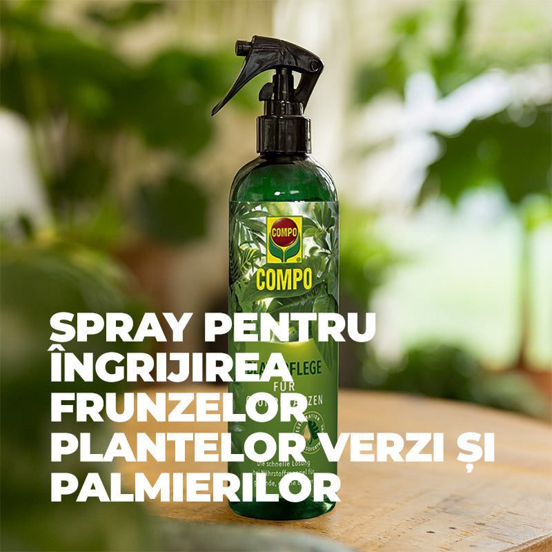 Ingrasamant Lichid pentru Ingrijirea Frunzelor Plantelor Verzi si Palmieri, 500 ml, Sticla cu Pulverizator, COMPO