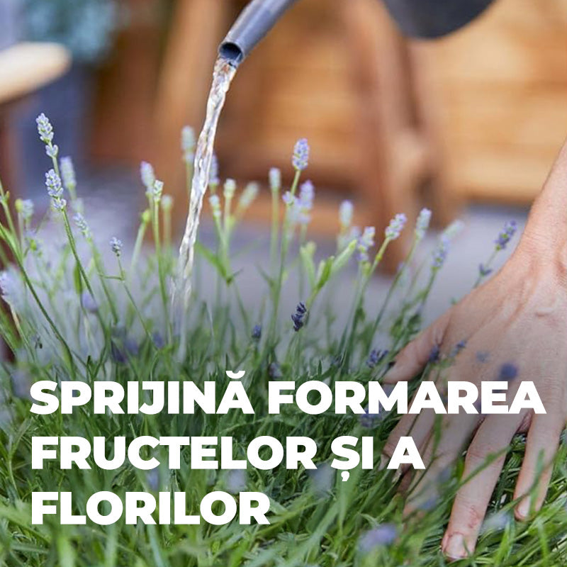 Ingrasamant Organic Lichid pentru Plante Mediteraneene, 500 ml, Special cu Extra Potasiu si Fier, Ingrediente 100% Naturale, COMPO