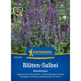Seminte de salvie decorativa – varietate Blaukönigin, albastru intens, ajunge pentru 30 Plante