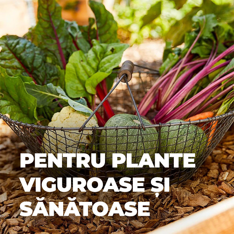 Ingrasamant pentru Gradina, pentru Flori, Fructe si Legume, 2 kg, Efect de Lunga Durata 6 luni, COMPO