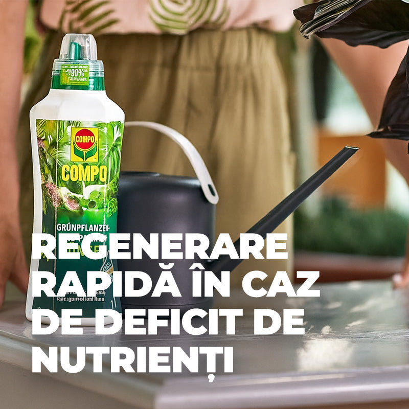 Ingrasamant organic lichid pentru plante verzi si palmieri COMPO, ingrediente 100% naturale, 500 ml