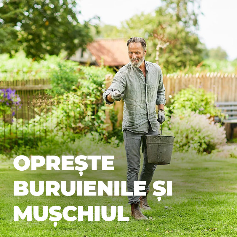 Ingrasamant Organic Granule Fine 3 kg, pentru Gazon impotriva Buruienilor si a Muschiului, Ingrijire Completa, COMPO