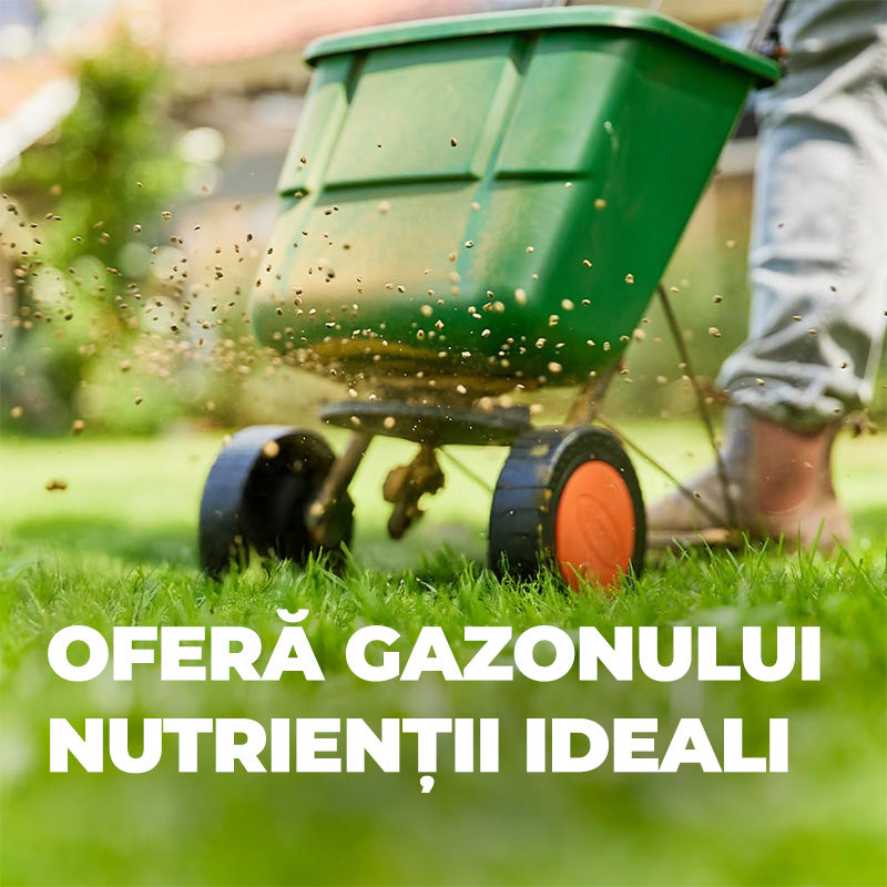 Ingrasamant Organic Granule Fine 3 kg, pentru Gazon impotriva Buruienilor si a Muschiului, Ingrijire Completa, COMPO