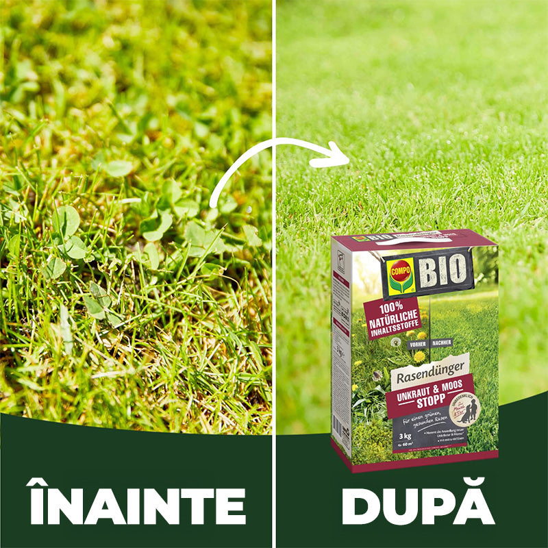 Ingrasamant Organic Granule Fine 3 kg, pentru Gazon impotriva Buruienilor si a Muschiului, Ingrijire Completa, COMPO