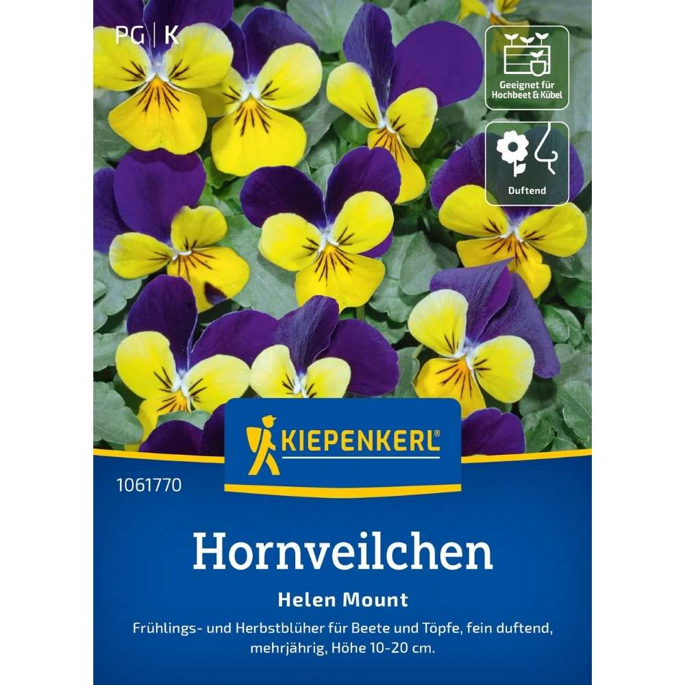 Seminte de panselute Helen Mount – flori bicolore delicate, ajunge pentru 80 Plante