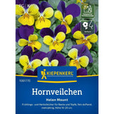 Seminte de panselute Helen Mount – flori bicolore delicate, ajunge pentru 80 Plante