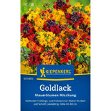 Seminte de goldlac – mix Mauerblumen, flori galbene si portocalii, ajunge pentru 60 Plante