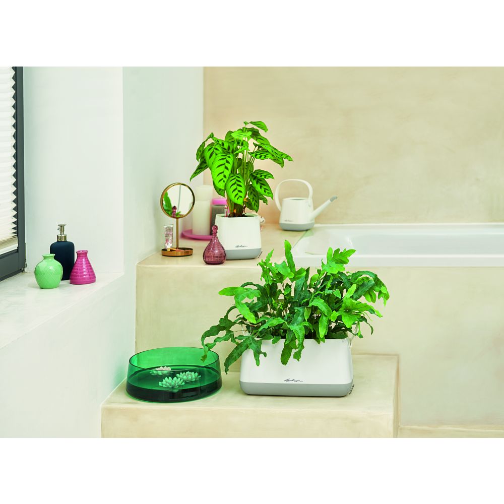 Stropitoare Lechuza YULA, 1,7 l capacitate, Alb/Gri, Protectie anti-picurare, Plastic de inalta calitate